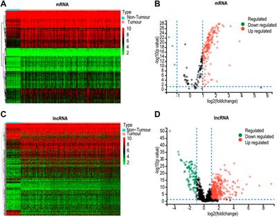 Identification of novel lactate metabolism signatures and molecular subtypes for prognosis in hepatocellular carcinoma